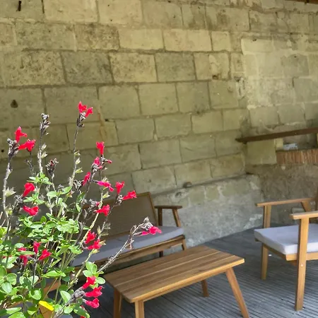 Chez Juliette - Maison Et Jardin - Bord De Loire A 度假居 索米尔