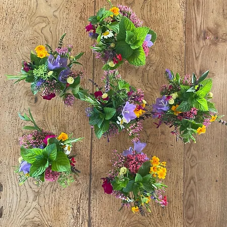 Chez Juliette - Maison Et Jardin - Bord De Loire A 度假居 *