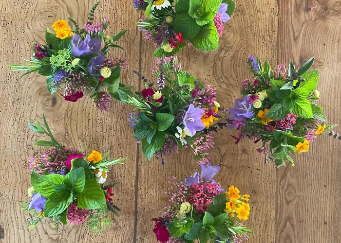 Chez Juliette - Maison Et Jardin - Bord De Loire A Vakantiehuis *